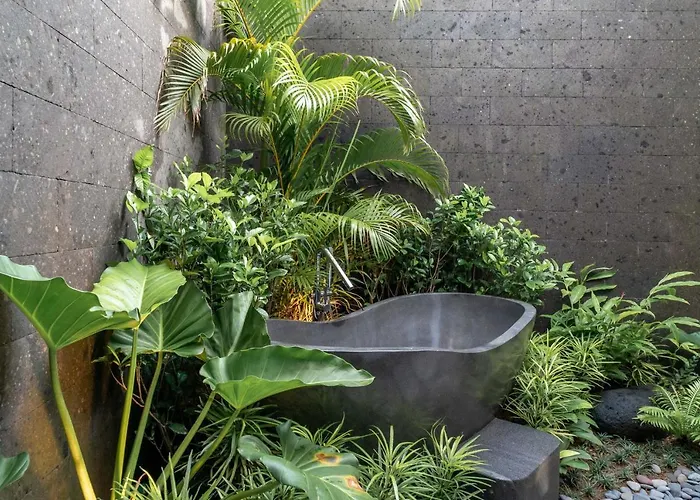 Nusantara 6 By Alfred In Bali Villa Canggu